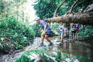 BIB: 
                            <button type="button" onclick="openModal(25444462)" class="btn btn-primary btn-sm float-right btn-popup" data-toggle="modal" data-target=".modal-high-quality">
                        <i class="fas fa-shopping-cart"></i> Add to Cart
                    </button>
                                            <button type="button" onclick="isThisMe(25444462, true)" class="btn btn-success btn-sm float-right btn-popup btn-isme hidden" data-toggle="tooltip" data-placement="bottom" title="นี่คือรูปของคุณใช่ไหม คลิกที่นี่เพื่อเอาเข้าอัลบั้ม">
                        <i class="fas fa-plus"></i> Add to album
                    </button>
                    <button type="button" onclick="isThisMe(25444462, false)" class="btn btn-warning btn-sm float-right btn-popup btn-isnotme hidden">
                        <i class="fas fa-ban"></i> Remove from album
                    </button>